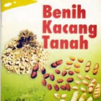 Image of Benih kacang tanah